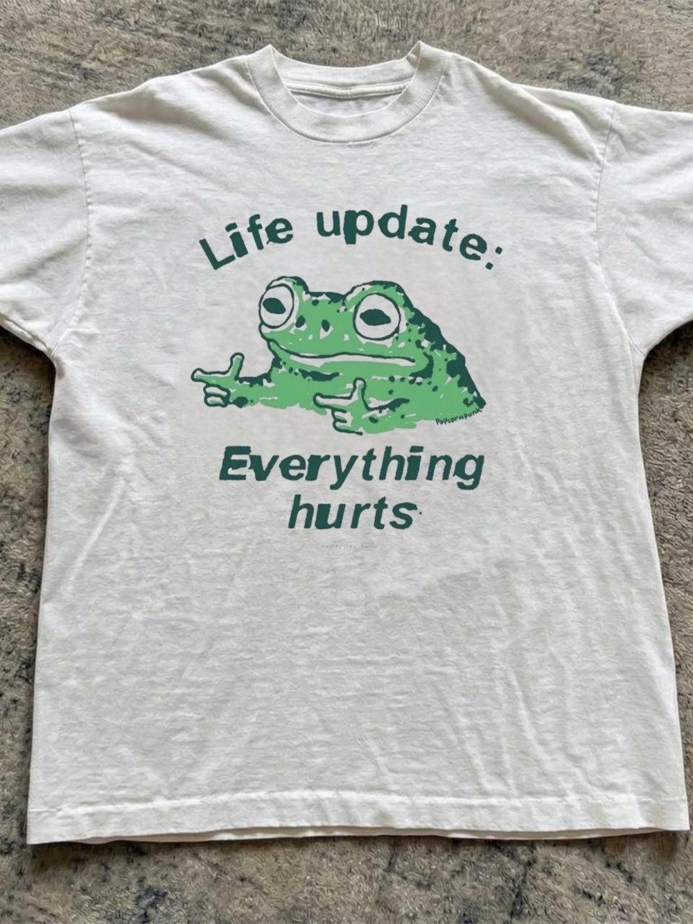 Gildan White Tee with Green Frog "Life update: Everything hurts" Graphic